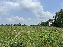 Lot 3 5 ACRES County Road 2166, Troup TX 75789