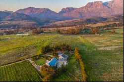 Lifestyle vineyard farm in the Cape Winelands