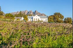 Lifestyle vineyard farm in the Cape Winelands