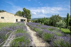 Stone house in Menerbes on 1 hectare.