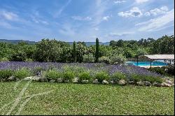 Stone house in Menerbes on 1 hectare.