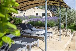 Stone house in Menerbes on 1 hectare.