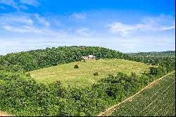 Remarkable Property with 270+ Acres