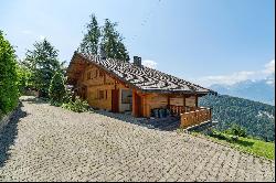 Chalet Plein Ciel - spacious property with stunning views