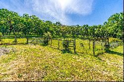 Country Parcels, 10± Acres