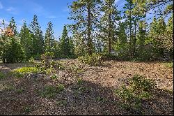 181 Highwood Circle, Lake Almanor Peninsula, CA 96137