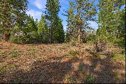 181 Highwood Circle, Lake Almanor Peninsula, CA 96137