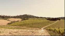 Montepulciano Vineyard Estate, Montepulciano, Tuscany