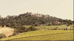 Montepulciano Vineyard Estate, Montepulciano, Tuscany