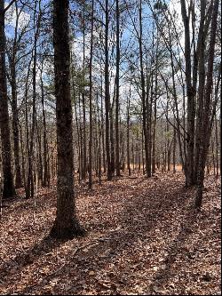 Camp Branch Road, Ellijay GA 30540