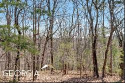 00 Autumn Sweet Drive #LOT 646, Clarkesville GA 30523