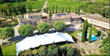 Vineyard, Provence