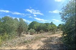 Rare: building plot near Perpignan town centre