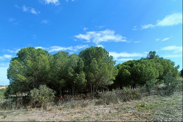 Rare: building plot near Perpignan town centre