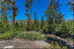 493 Gcr 4632, Grand Lake, CO, 80447