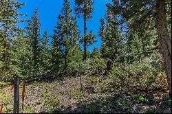 493 Gcr 4632, Grand Lake, CO, 80447