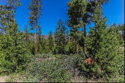 493 Gcr 4632, Grand Lake, CO, 80447