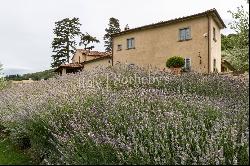 Exquisite farmhouse close to Florence