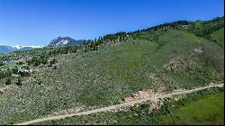 TBD County Road 740, Crested Butte CO 81224