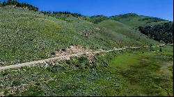 TBD County Road 740, Crested Butte CO 81224