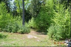 Lot 1 Valley Woods Road, Bolton Landing NY 12814