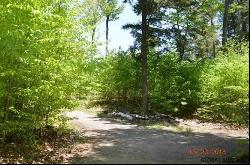 Lot 1 Valley Woods Road, Bolton Landing NY 12814