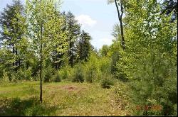 Lot 1 Valley Woods Road, Bolton Landing NY 12814