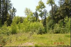 Lot 1 Valley Woods Road, Bolton Landing NY 12814