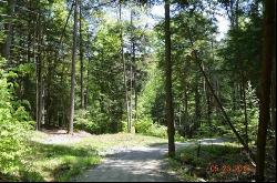 Lot 1 Valley Woods Road, Bolton Landing NY 12814