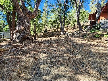 Oriole Road, Wrightwood CA 92397