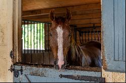 Quaker Lane Farm