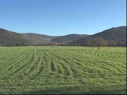 Hunting estate in the Toledo mountains.