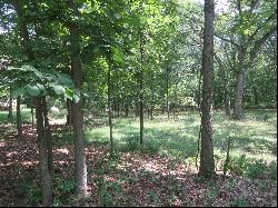 Lot 14 Six Mile Grove, Momence IL 60954