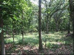 Lot 14 Six Mile Grove, Momence IL 60954