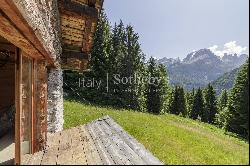 Ancient mountain farm with exclusive privacy