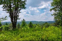 Remarkable Expanse of Private Buildable Land with Endless Views!