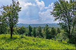 Remarkable  Expanse of Private Buildable Land with Endless Views!