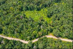 Remarkable  Expanse of Private Buildable Land with Endless Views!