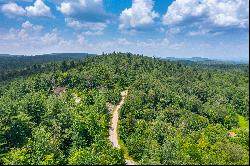 Remarkable Expanse of Private Buildable Land with Endless Views!