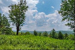 Remarkable Expanse of Private Buildable Land with Endless Views!