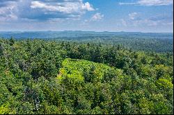 Remarkable Expanse of Private Buildable Land with Endless Views!