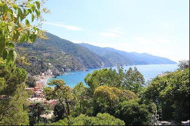 Beautiful Apartment with sea view in Cinque Terre