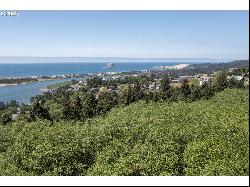Resort DR #200ac, Pacific City OR 97135