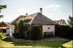 Set of traditional houses near Viscri