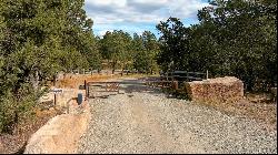 Lot 20 Dancing Hawk Drive, Pecos NM 87552