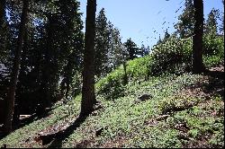Nice Sized Lot in Tahoe Donner