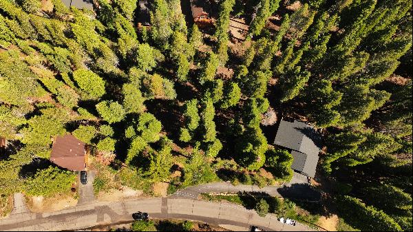 Nice Sized Lot in Tahoe Donner