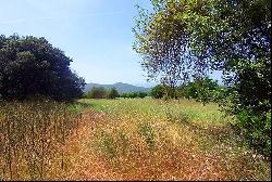 Rustic plot in a rural setting for sale in Llubi, Mallorca, Inca 07300