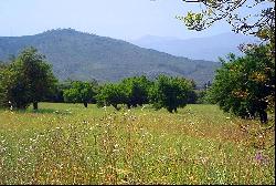 Rustic plot in a rural setting for sale in Llubi, Mallorca, Inca 07300