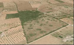 Country plot for sale in Baleares, Mallorca, Inca, Inca 07300